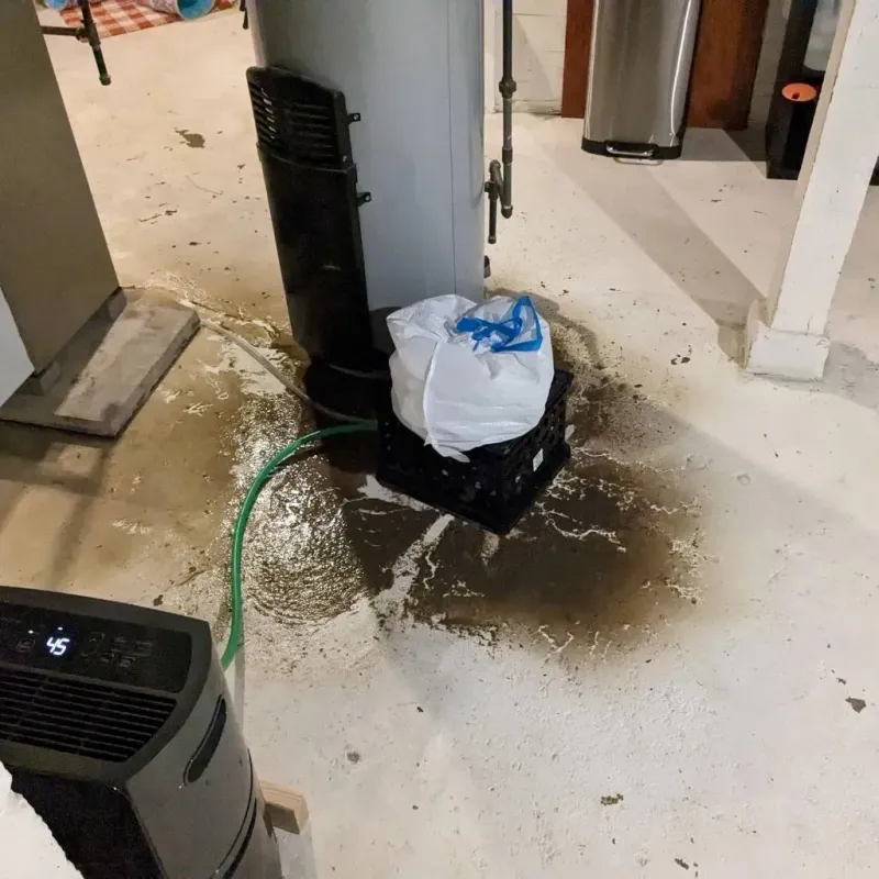 Sewage Backup Cleanup Service in East Hill-Meridian, WA